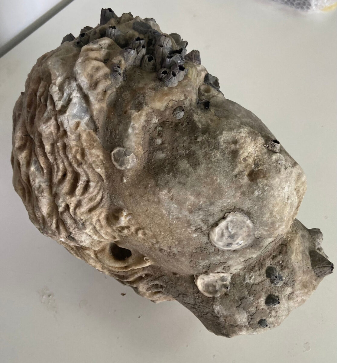 Head of a statue from the Roman era pulled up from the sea off Preveza, at a depth of about 10 meters (photo: MOCAS)