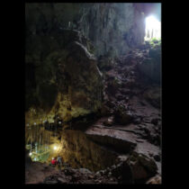 Early modern human adapted to a rainforest environment