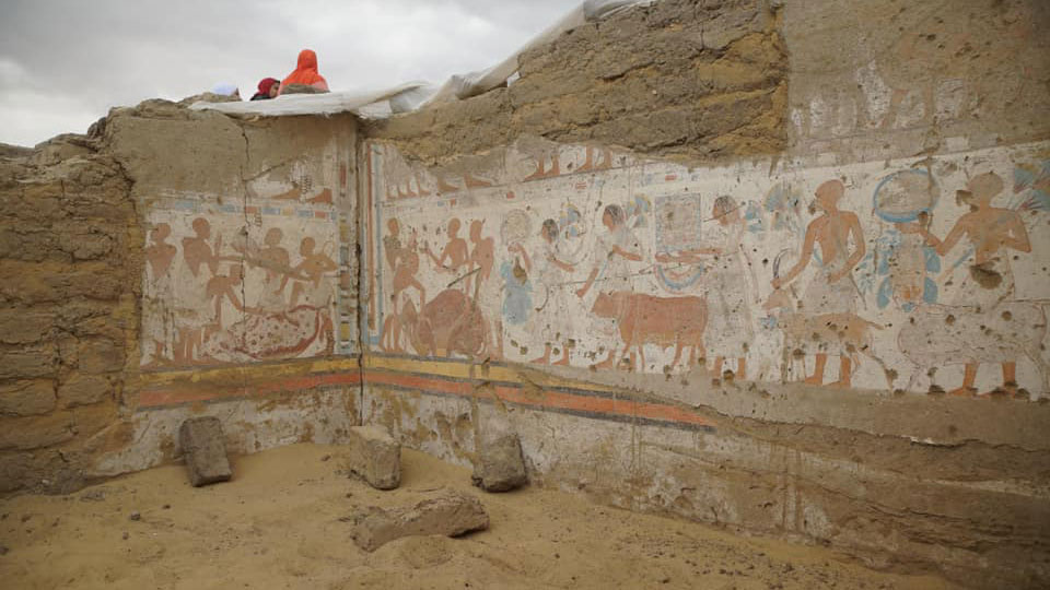 View of the excavation site. Credit : Ministry of Antiquities