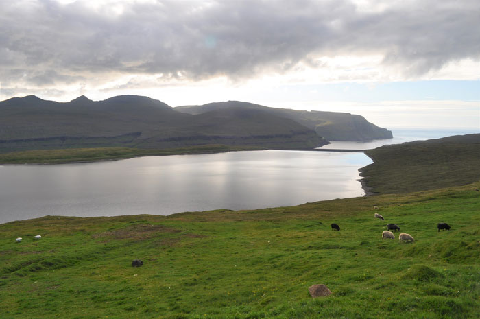 The bed of this lake on the island of Eysturoy contains a sediment layer laid down around 500 AD that documents the first arrival of sheep, and thus humans, on the archipelago. Credit : Raymond Bradley/UMass Amherst