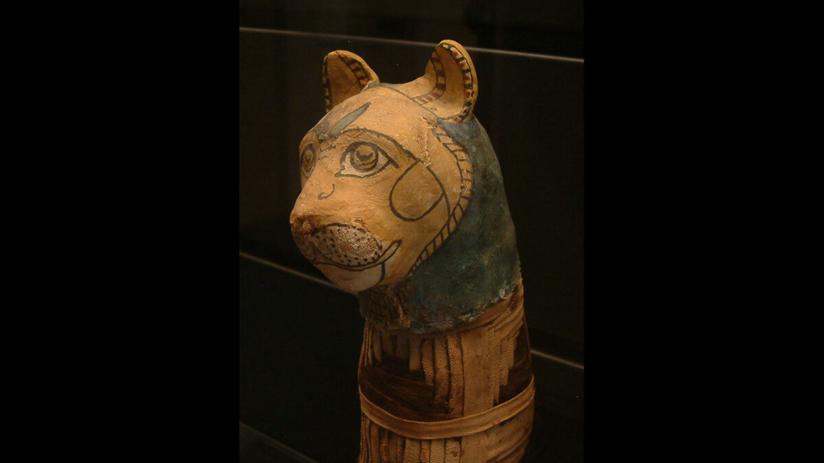 Cat mummies exhibited in the Department of Egyptian Antiquities of the Louvre.