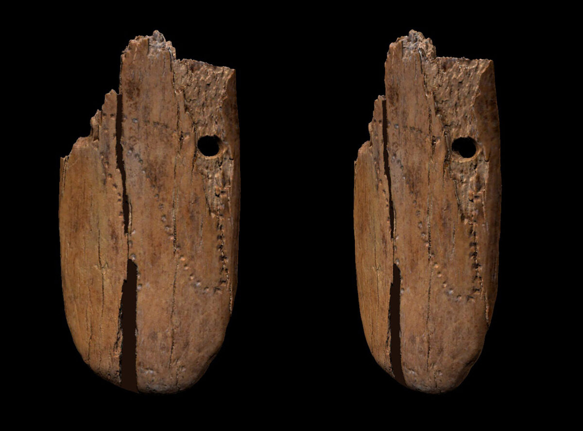 An oval-shaped carved mammoth pendant ornament, about 41,500 years old and found in Poland's Stajnia Cave (photo: Antonino Vazzana).