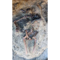 Victim of Vesuvius eruption unearthed at Herculaneum
