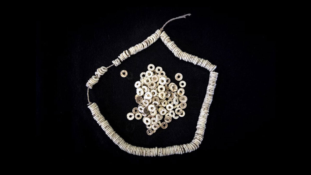 A string of modern ostrich eggshell beads from eastern Africa.
© Hans Sell