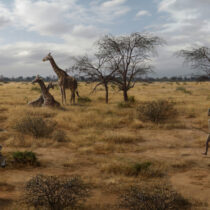 The importance of meat eating in shaping our evolution is being questioned