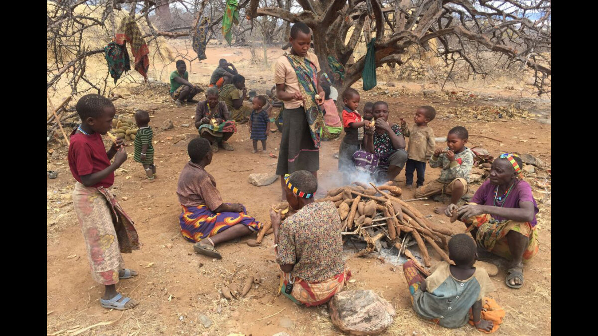 A group of Hadza women share a meal of roasted tubers. Food sharing allows them to spend more energy to find food, knowing they won’t starve if they return to camp empty-handed. (Photo – Herman Pontzer)