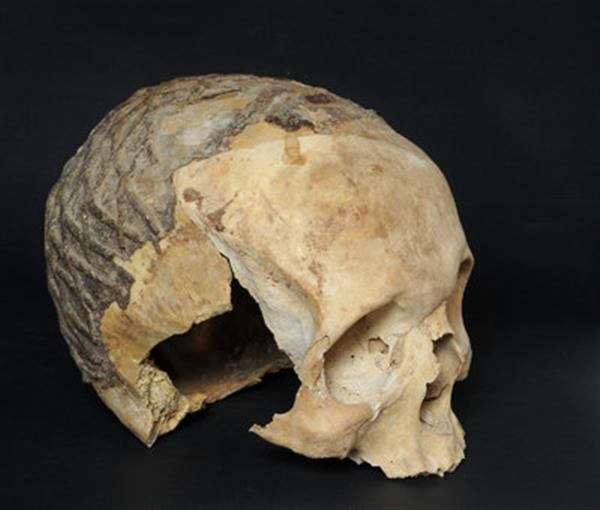 One of the skulls from the Nahal Hemar Cave. Credit: Clara Amit, IAA.