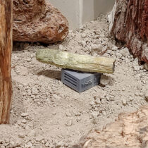 Innovative tools for the protection of exhibits from the Petrified Forest