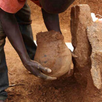 Leafy greens first dished up 3,500 years ago