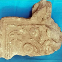 Aswan, Egypt: new finds from a Greco-Roman tomb in the Aga Khan area