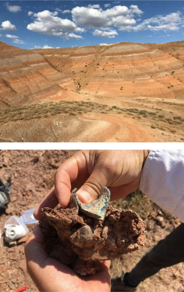 Top, site excavated in Turkey (Büyükteflek); bottom, upper molar of a Brontothere mammal of Asian origin. © Alexis Licht & Grégoire Métais