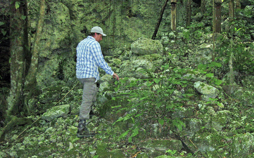 Researcher Chris Balzotti climbs an ancient staircase discovered in a sinkhole near Coba, Mexico.
Photo by Richard Terry