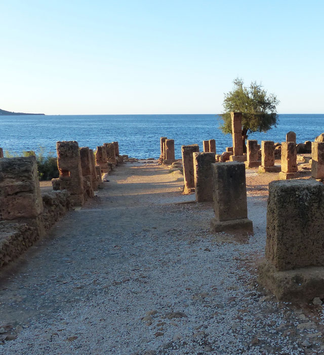 Cardo Maximus, part of World Heritage Site Tipasa, Algeria which is projected to be at risk. Credit : Dr Jane Chick