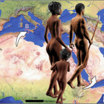 Modern humans did not enter Europe by sea, recent study shows