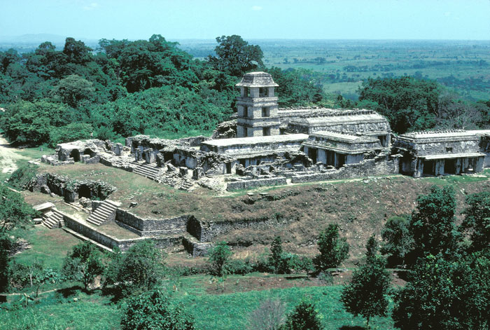 Palace at Palenque. Credit : Linda M. Nicholas, Field Museum