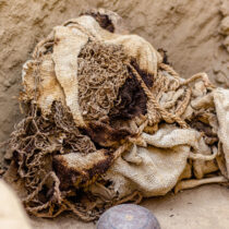 The mummies of six likely sacrificed children were found in Peru