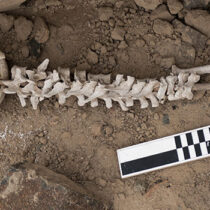 ‘Threaded bone’ rituals restored dignity after looting of graves in Peru