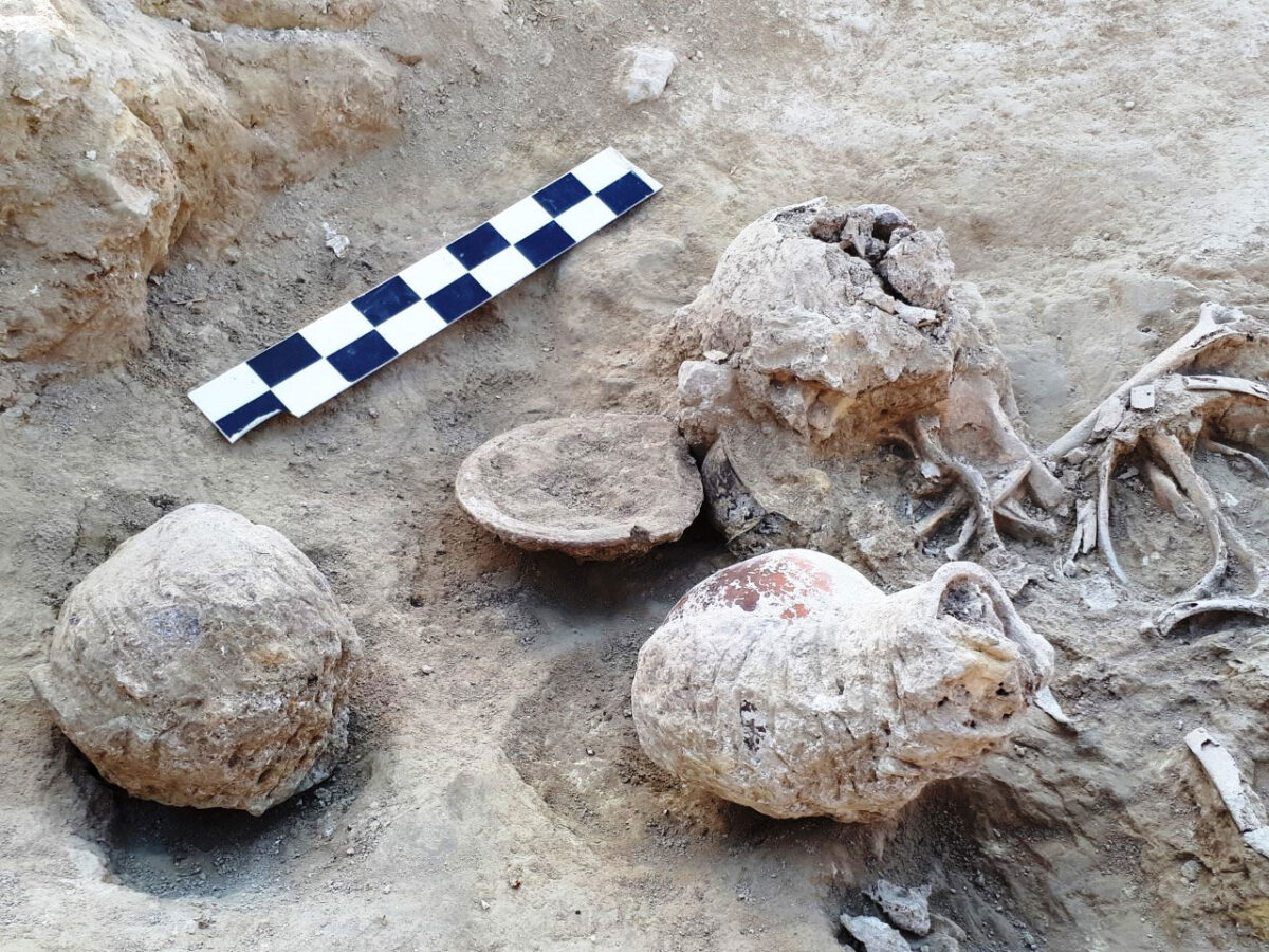 Findings from sections of the two cemeteries (image: AMNA/S.Dimaki)