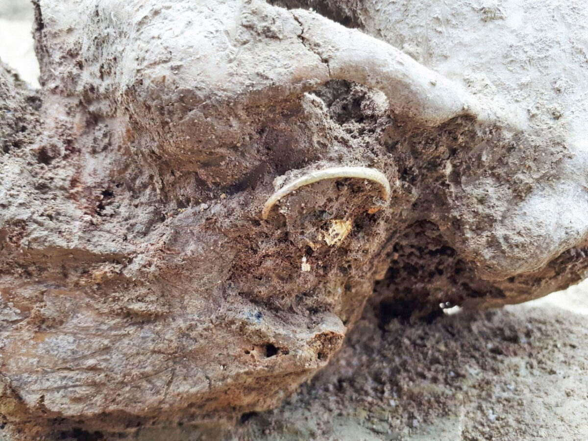 Findings from sections of the two cemeteries (image: AMNA/S.Dimaki)