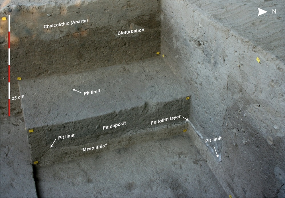 Excavation of the Loteshwar archeological site with the deposits of the different prehistoric occupations.