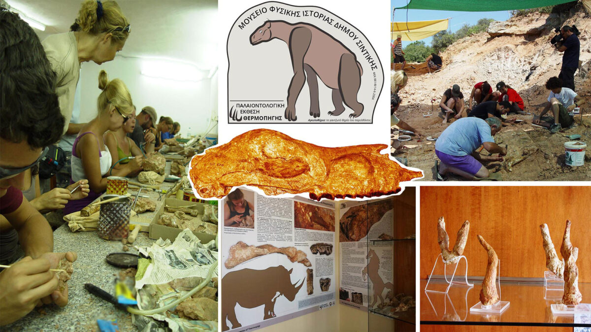 The Natural History Museum of the Municipality of Sintiki and the Palaeontological Exhibition of Thermopig (image : AMNA/E.Tsoukala/Natural History Museum of the Municipality of Sintiki)