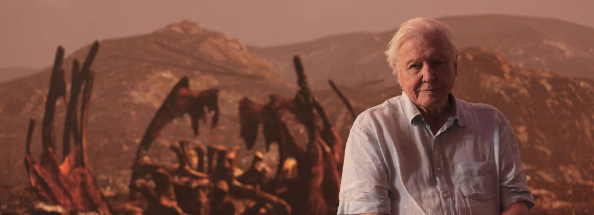 David Attenborough.