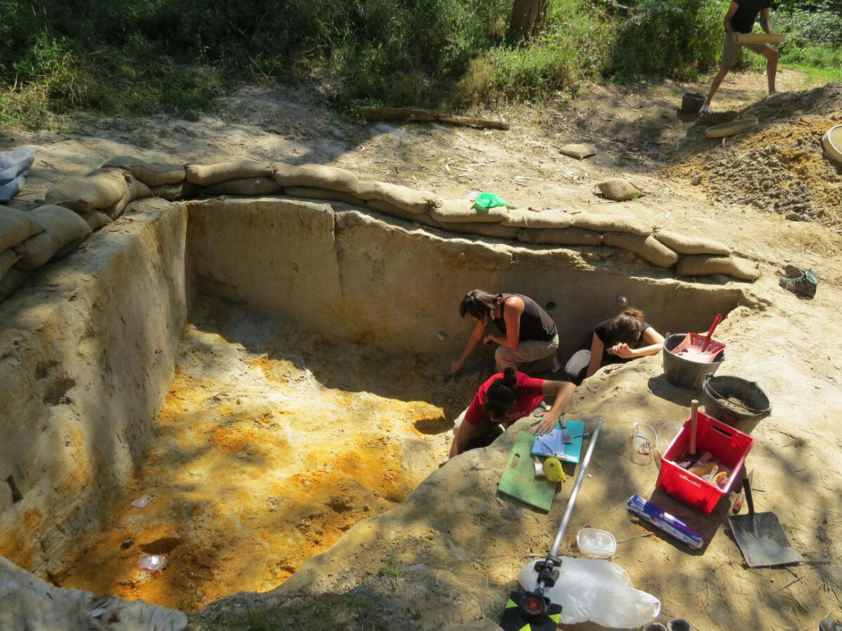 Excavation process of US4b (Chatelperronian) in Aranbaltza II/Joseba Rios-Garaizar.