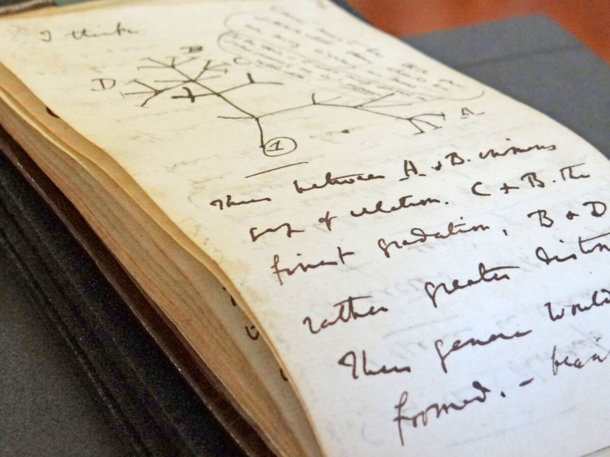 One of the two notebooks returned includes a sketch of the 