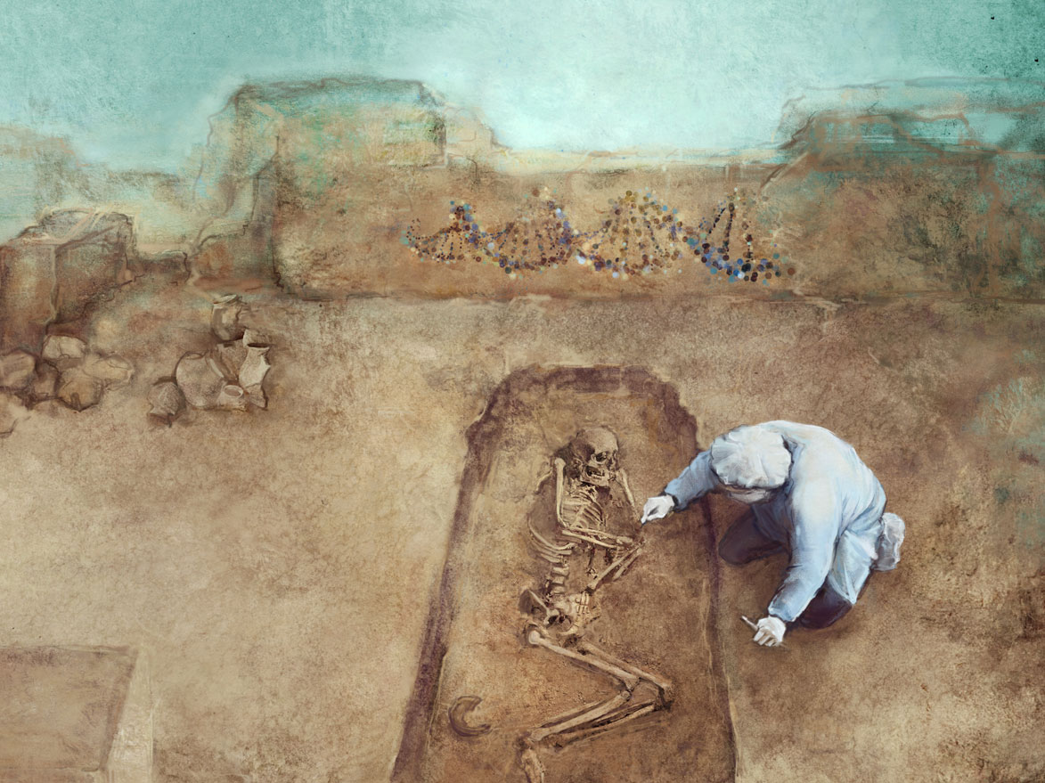 Drawing of a scientist working with human skeletal remains and ancient DNA.   Credit: Marija Stojkovic. / Penn State. Creative Commons