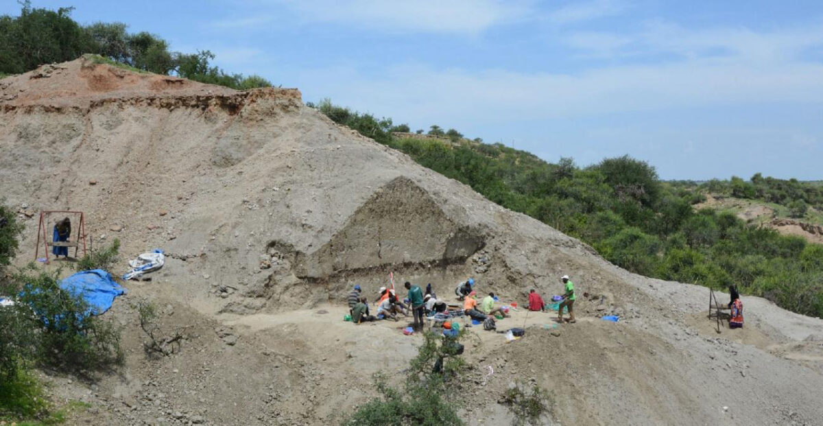 Complex T69, Bed II, Olduvai/I. de la Torre. Credit: CENIEH