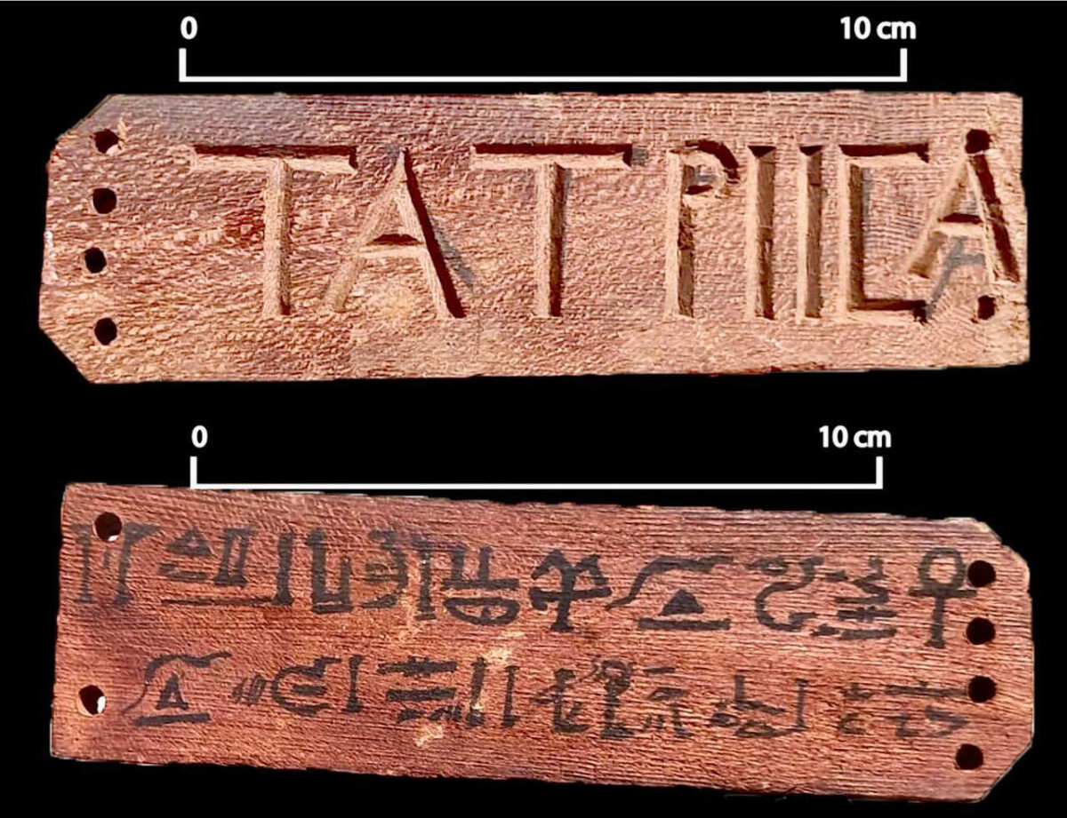 Finds from the site. Image credit : Ministry of Antiquities