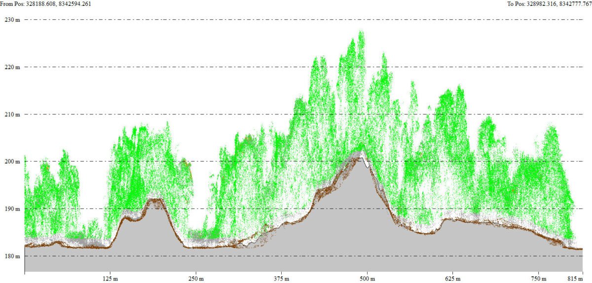 Profile cut showing major platforms at the Cotoca site. Brown points : terrain; green points : vegetation, that was digitally remopved to produce a Digital Surface Model.