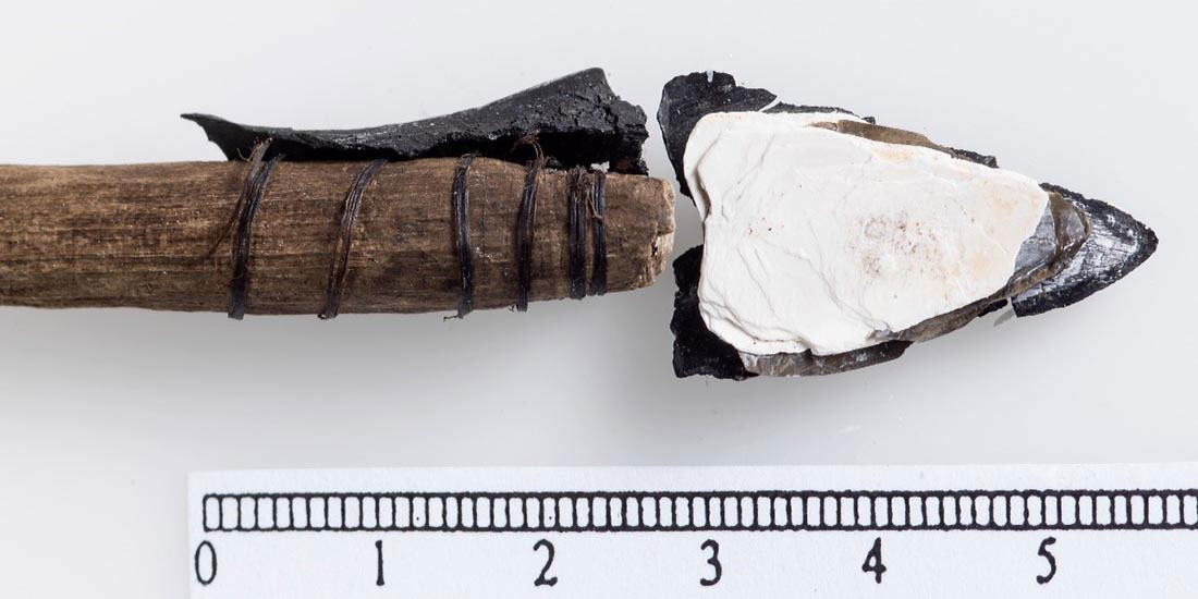 Exceptionally well-preserved arrows from the Bronze Age have melted out of the Løpesfonna ice patch in Oppdal municipality in central Norway. They have intact lashing and projectiles made from shells. Photo: Åge Hojem, NTNU University Museum