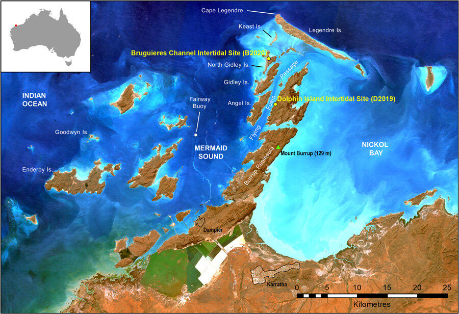 Map of the Dampier Archipelago (Murujuga) showing locations of areas mentioned in the text. (Contains modified Copernicus Sentinel data [2020] processed by Sentinel Hub). Credit: Geoarchaeology (2022). DOI: 10.1002/gea.21917