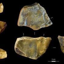 Canterbury suburbs were home to some of Britain’s earliest humans