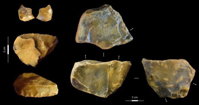 A selection of flint artefacts excavated at the site. Image: authors of the research