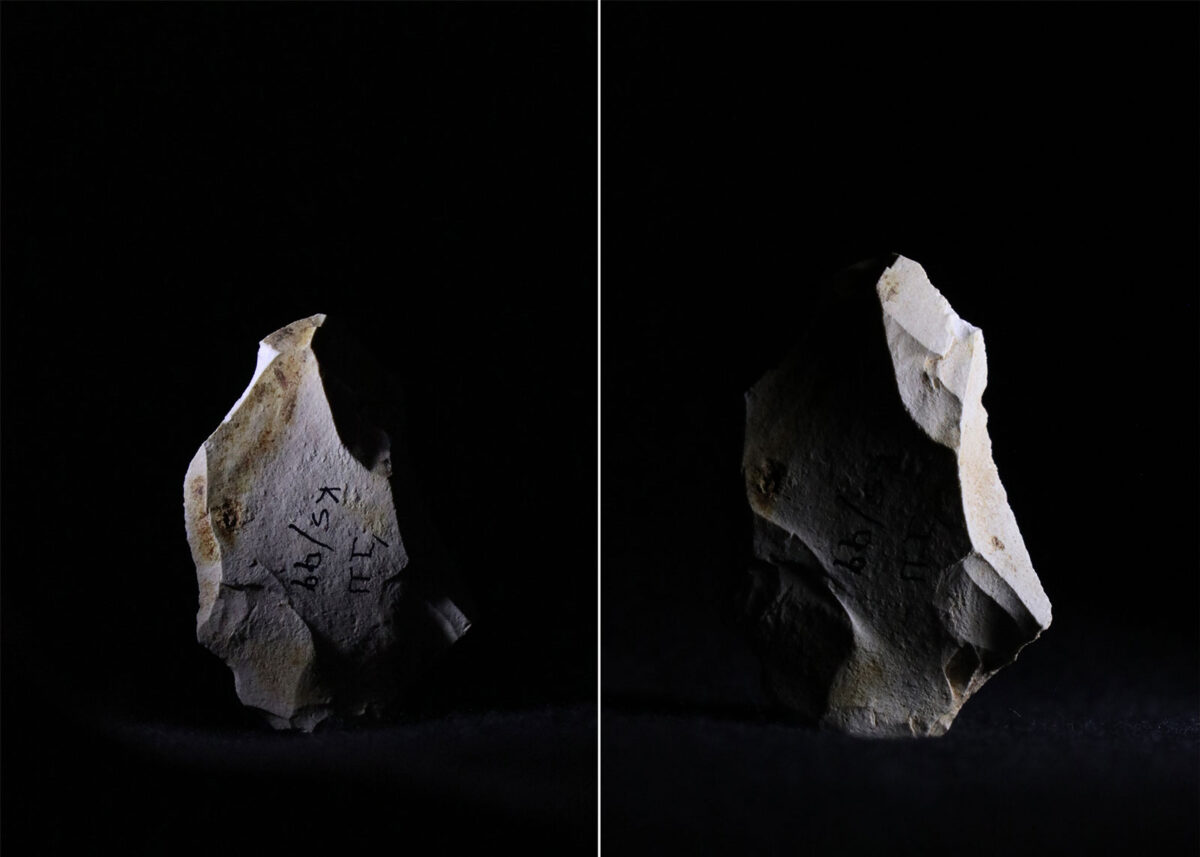 Flint tools found at the Evron Quarry. Photo: Zane Stepka