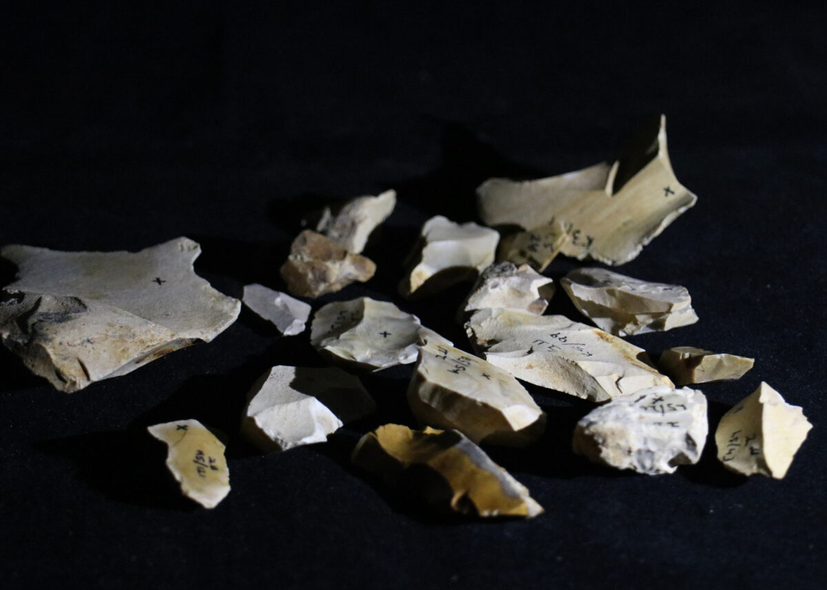 Flint tools found at the Evron Quarry. Photo: Zane Stepka