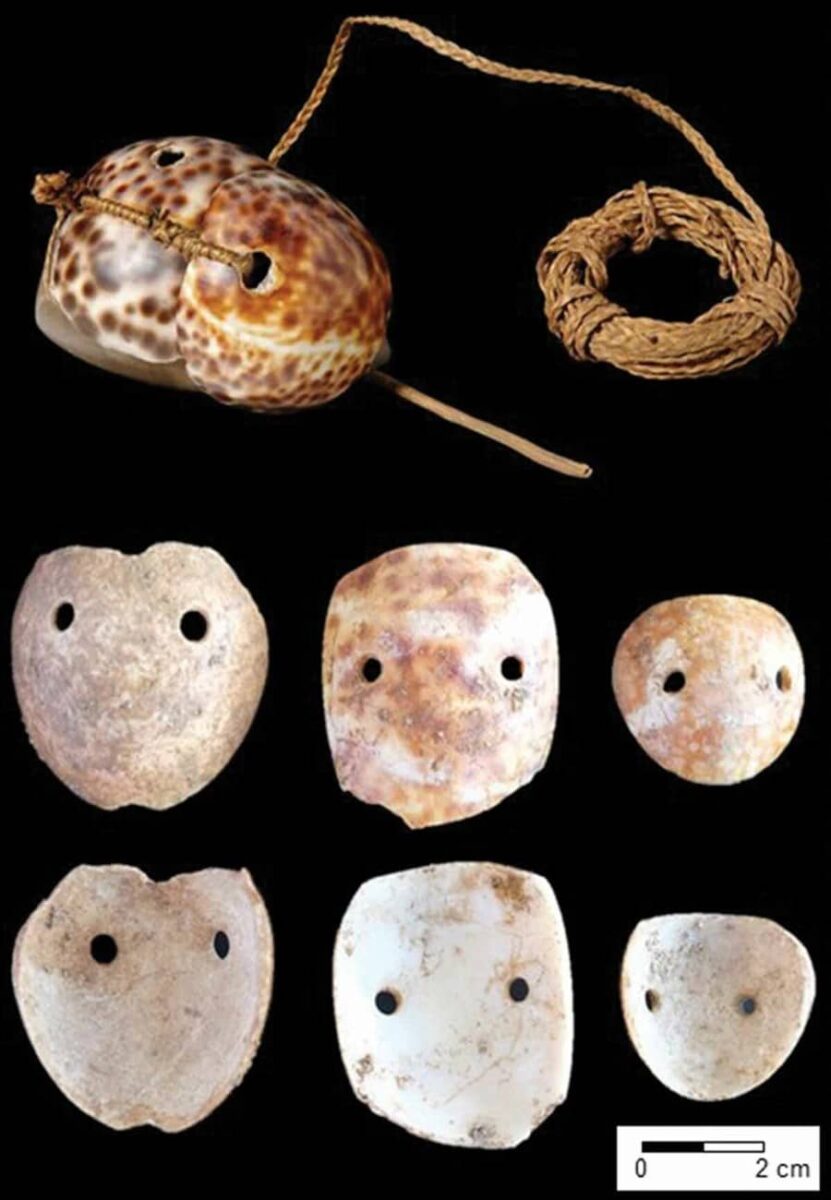 (Top image) A re-created example of an ancient octopus lure from Tonga house at the Pitt Rivers Museum in England. The lure is made from two cowrie shells, each with drilled holes, bound to a stone sinker using a fiber cord. (Lower images) Exterior and interior views of cowrie shell octopus lures from (left to right) House of Taga in Tinian, 110-500 BC; Unai Bapot in Saipan, 1500-1100 BC; and the House of Taga in Tinian, 1500-100 BC. Top image courtesy of Pitt Rivers Museum, Artifact Registration 1886.1.1279.2