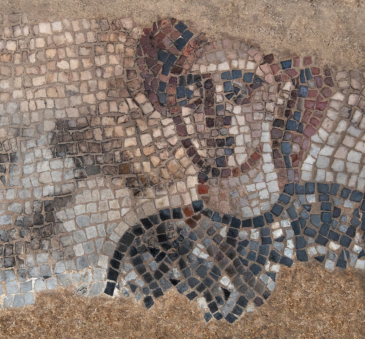 The Israelite commander Barak depicted in the Huqoq synagogue mosaic. Photo by Jim Haberman