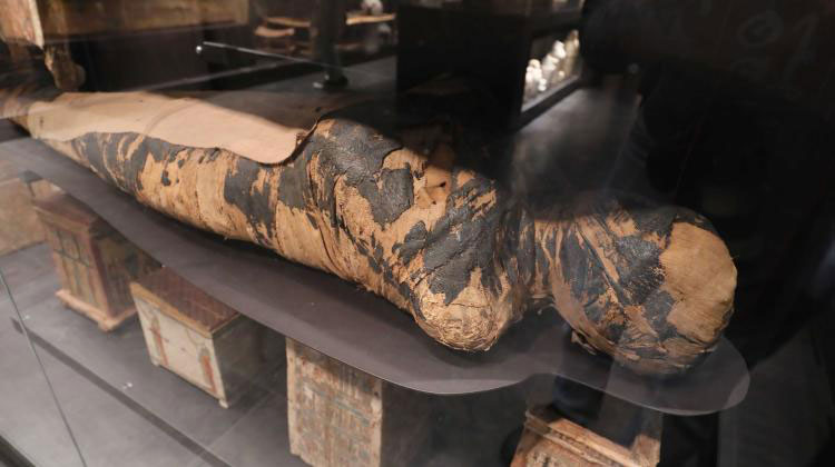 Mummified woman at The National Museum in Warsaw. Credit: PAP/Paweł Supernak