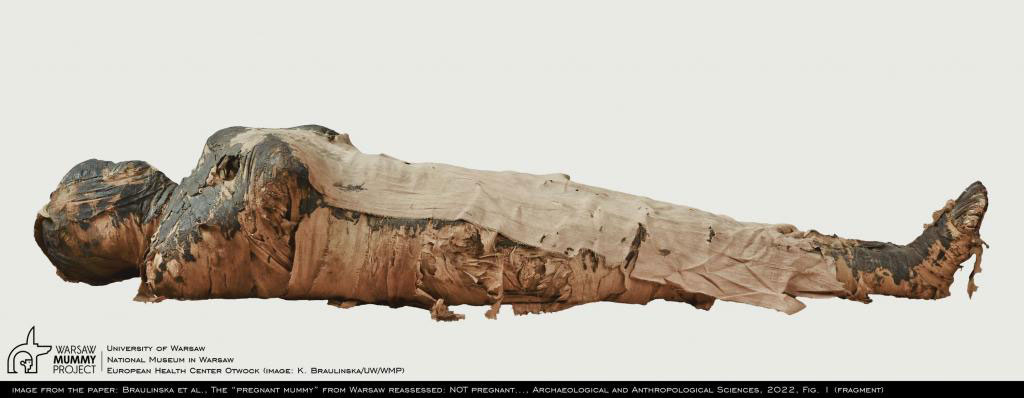 The “pregnant mummy” from Warsaw reassessed: Not pregnant