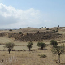 Palaepaphos: Unexpected developments during the 2022 excavation season