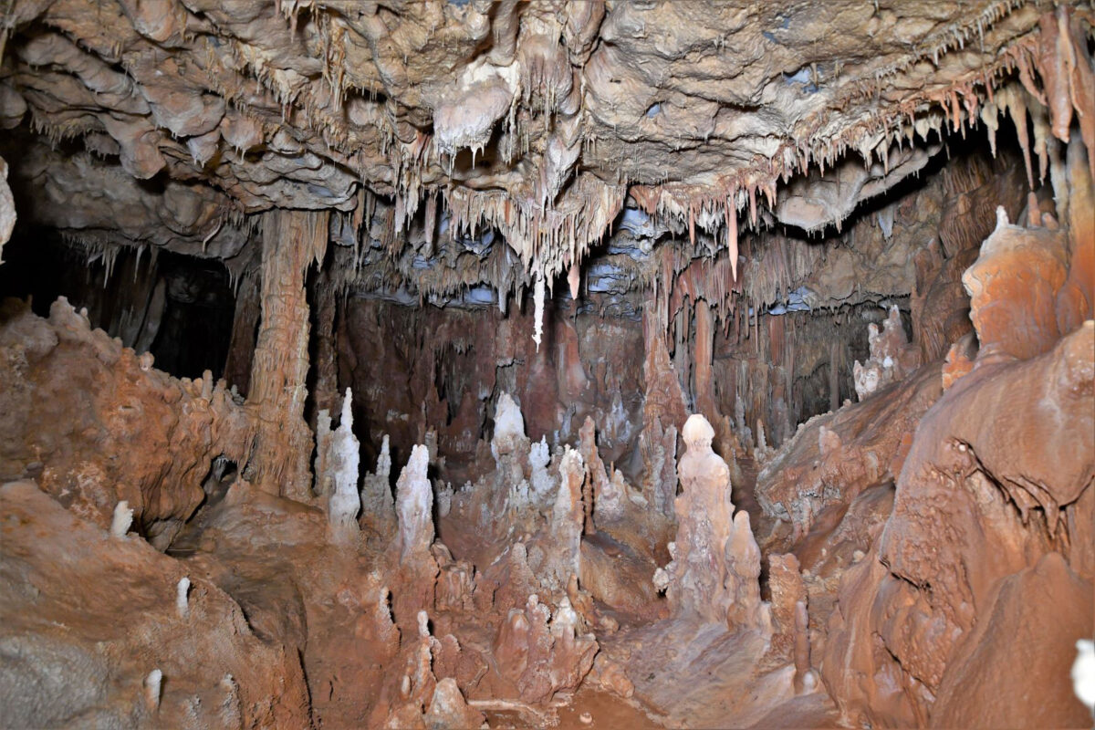 The Petralona Cave (Image credit: AMNA /A. Darlas).