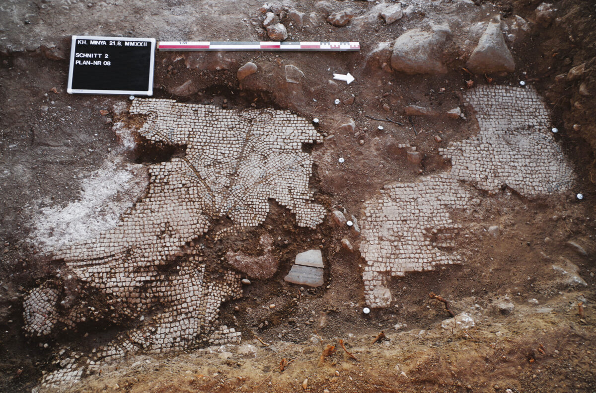 Close-up of the mosaic showing a flowering plant: In the foreground are traces of the marks made by a pickaxe when the mosaic was deliberately destroyed. Photo/©: Hans-Peter Kuhnen