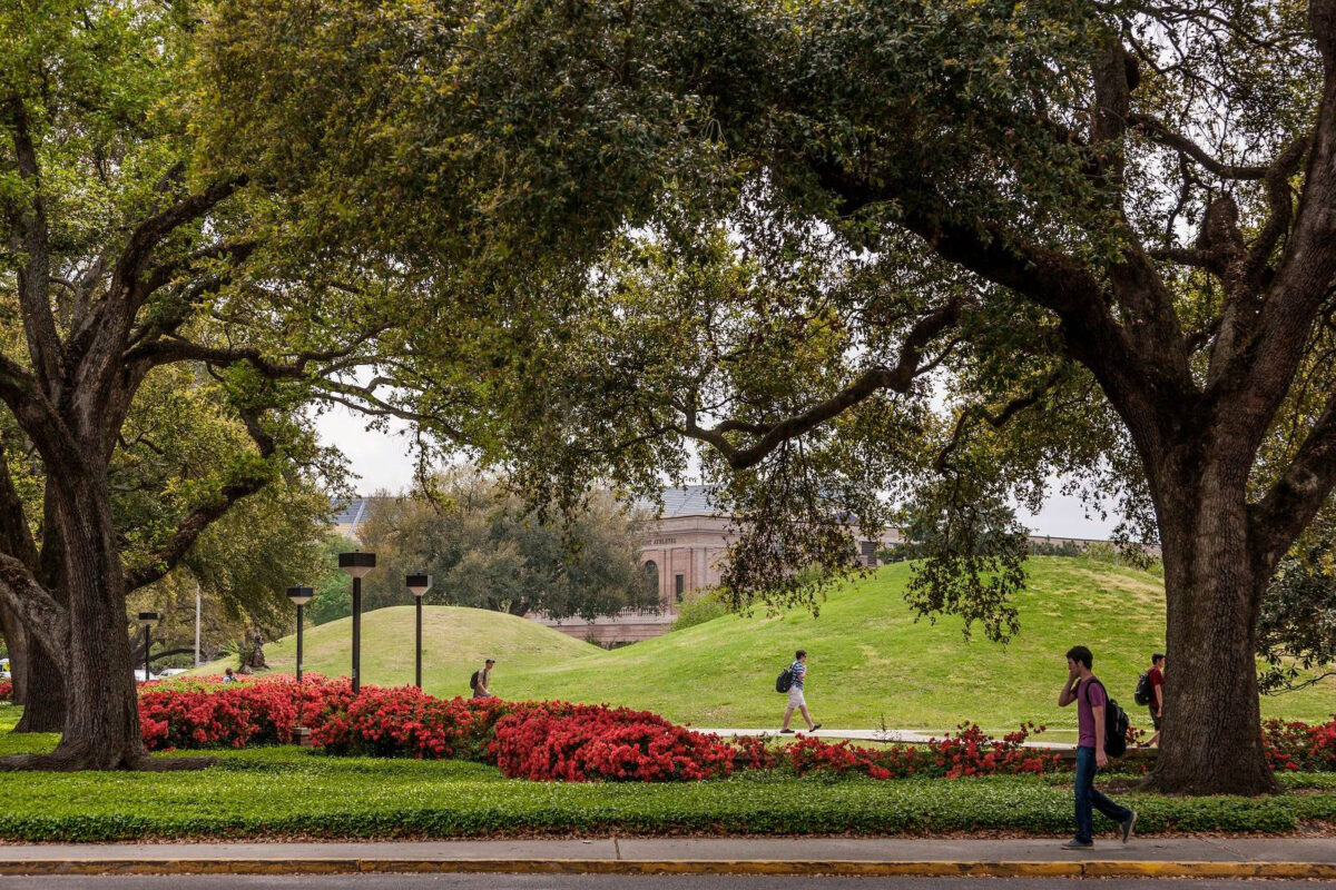 The LSU Campus Mounds pictured here are the oldest known man-made structures in the Americas. Photo: LSU