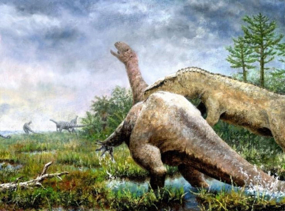 Reconstruction how the death of Tuebingosaurus maierfritzorum may have occurred. Bones of the predatory dinosaur Teratosaurus were also found in Trossingen. However it has only been proven that Tuebingosaurus fell on its right side. Weathering indicates that the bones on the left side of the body probably lay for several years on the surface.