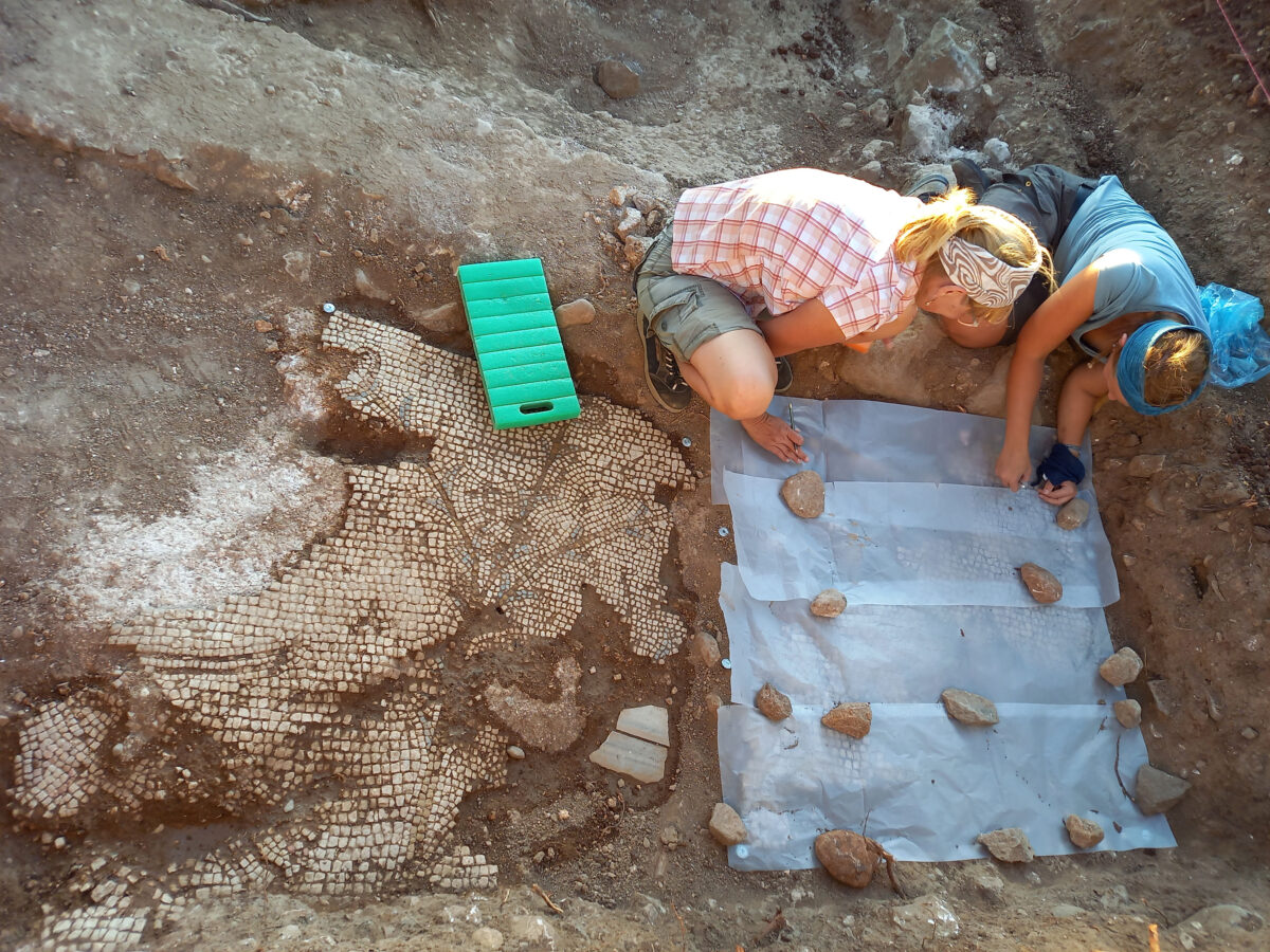 JGU students recording the outlines of the mosaic – with a tall waterside plant with blossoms and small green leaves on three stems in the exposed portion and the stern and rudder of a boat on the lower left. Photo/©: Hans-Peter Kuhnen