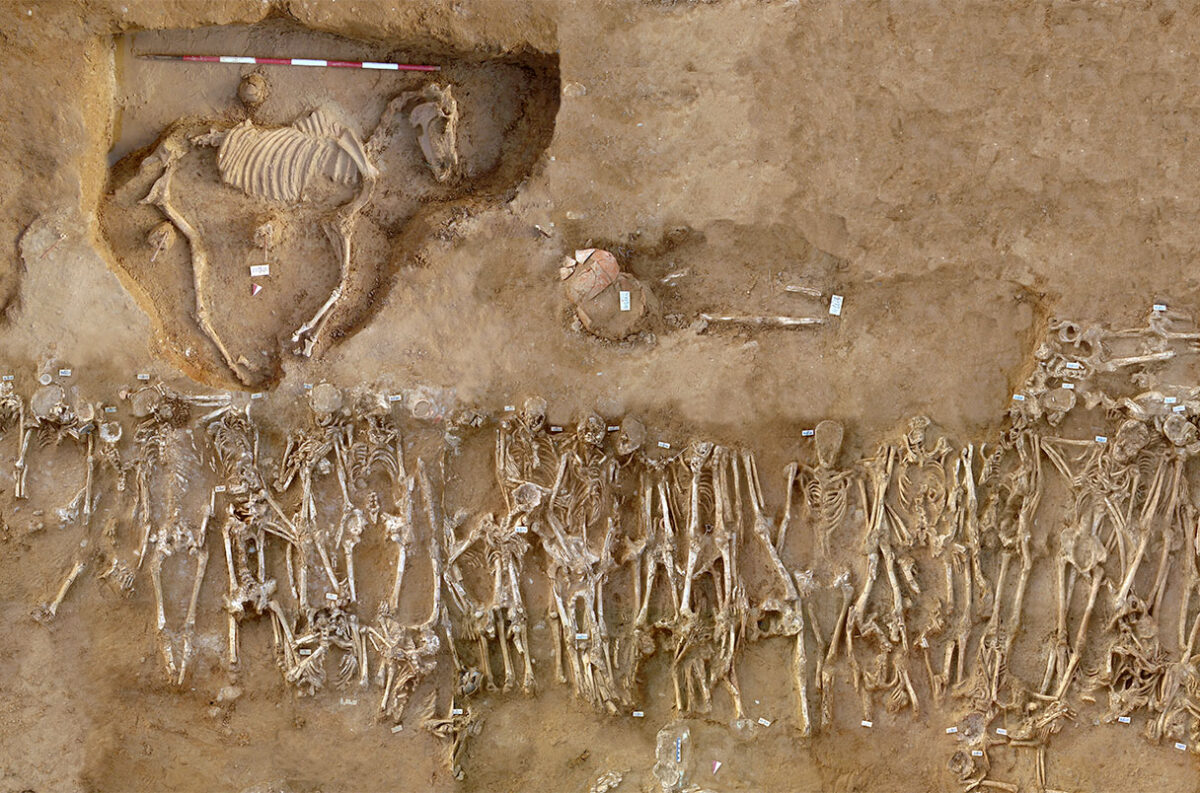 Mass grave of the dead in the 409 BC Battle of Himera BC and horse grave. Image credit : Stefano Vassallo/Superintendence of Palermo. 