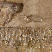 The diverse genetic origins of a Classical period Greek army